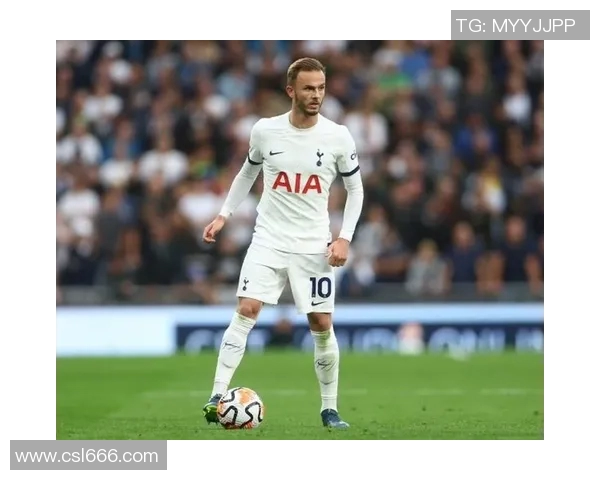 热刺队伍重塑雄风,力争英超顶峰新赛季展望与挑战 热刺队伍重塑雄风,力争英超顶峰新赛季展望与挑战