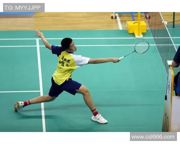 南京羽毛球队的节奏与激情:聚焦羽毛球运动的魅力与发展