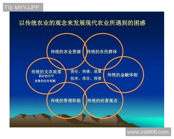 武汉网球队与重庆网球队赛后技术分析与战术对比探讨 武汉网球队与重庆网球队赛后技术分析与战术对比探讨