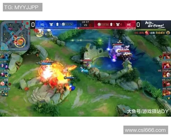 王者荣耀热议：WE战队耐力问题引发的争论与思考