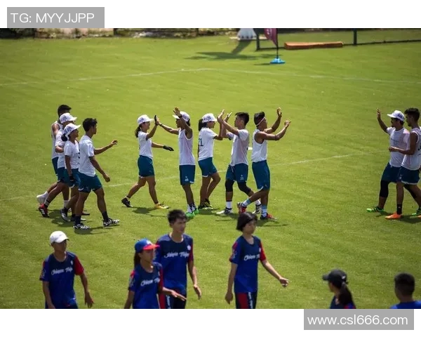 南京飞盘队的节奏与战术分析探索飞盘运动的魅力与团队协作