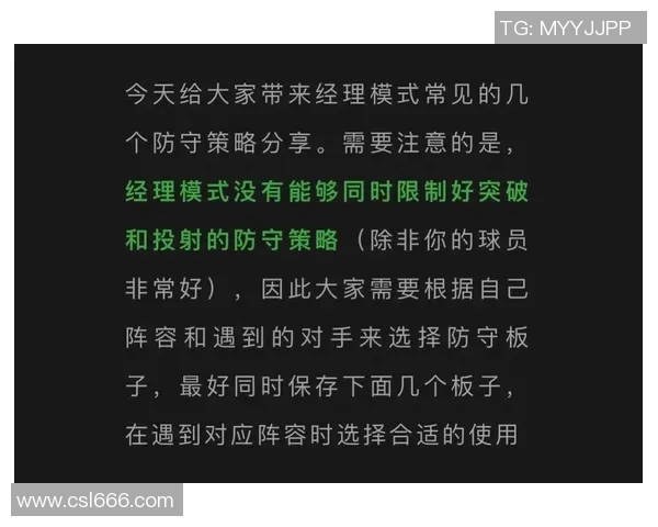 深入分析北京排球队防守策略与战术特点的专业解读