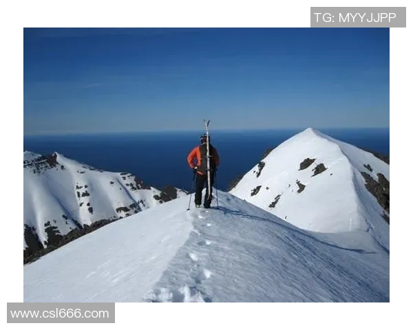 深圳极限运动队心理素质研究：挑战极限与团队协作的内在联系分析