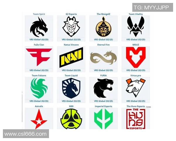 CSGO灵活性排行榜揭晓V5战队荣登第六名引发热议