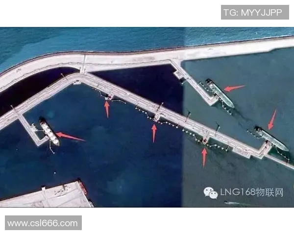 全球挑战赛特别报道：探索LNG产业崛起背后的机遇与挑战