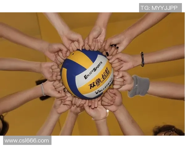 南京排球队在全国排球状态排行榜中荣获第九名展现出强劲实力与潜力