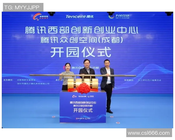 成都飞盘队边路渗透战术创新探讨与实践分析