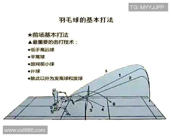 成都羽毛球队转换体系解析与战术应用探讨