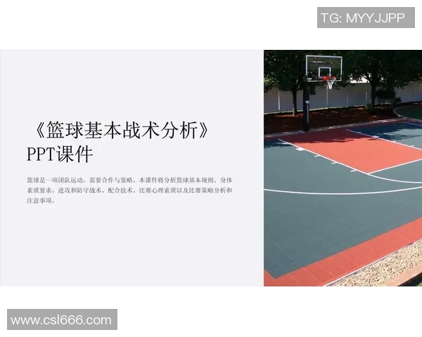 深入分析西安篮球队独特的进攻策略与战术特点